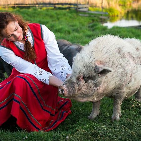 Tierstiftung Eulalia Daire Babieta Dış mekan fotoğraf